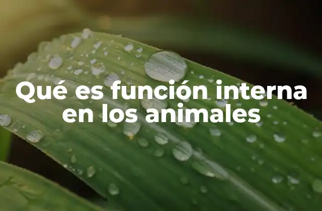 Los sistemas que soportan las funciones internas de los animales