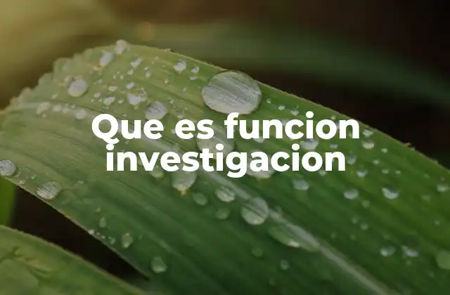 Que es Funcion Investigacion