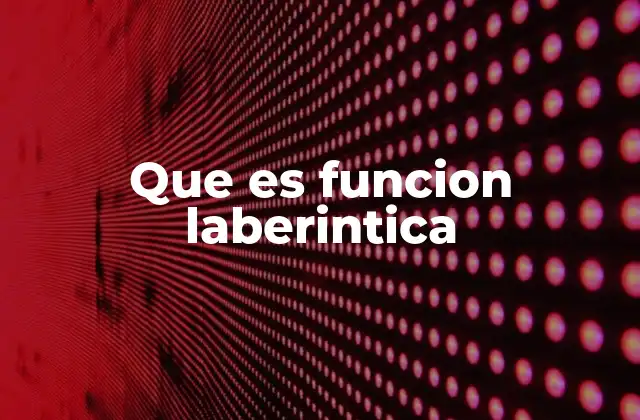Que es Funcion Laberintica