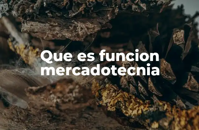 Que es Funcion Mercadotecnia 2 El papel de la mercadotecnia en la competitividad empresarial