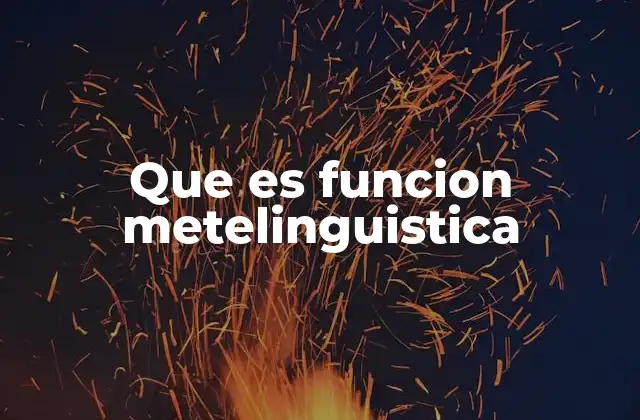 Que es Funcion Metelinguistica