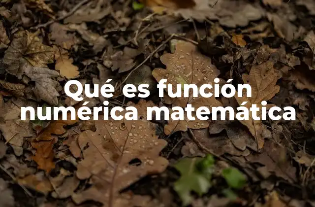 Qué es Función Numérica Matemática