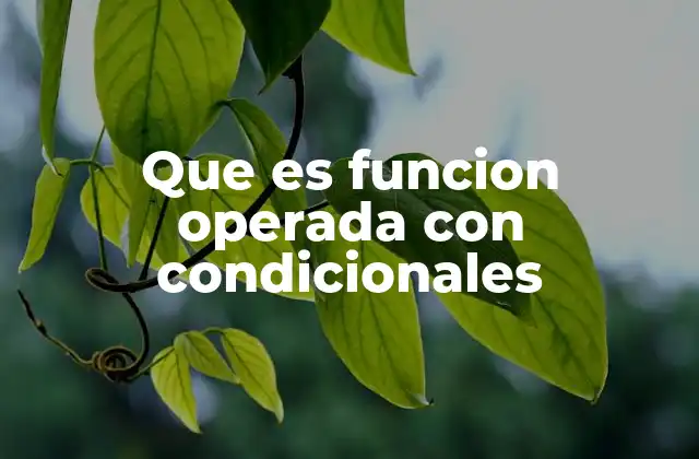 Que es Funcion Operada con Condicionales