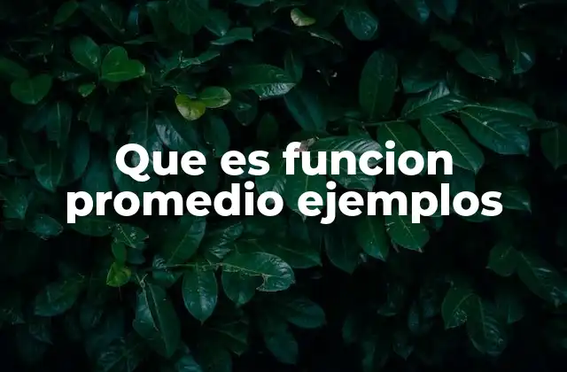 Que es Funcion Promedio Ejemplos