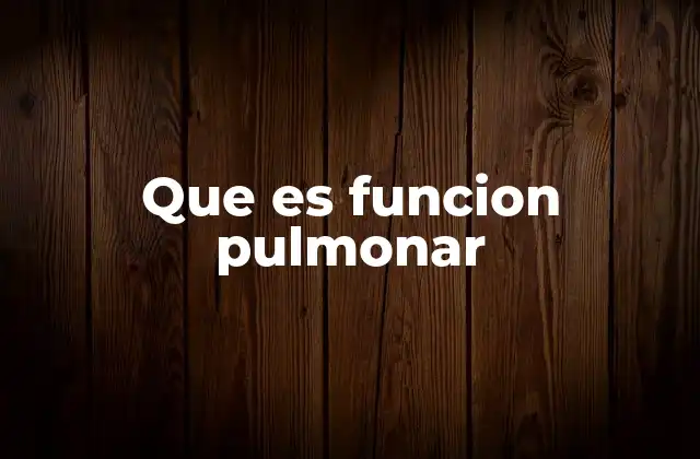 Que es Funcion Pulmonar