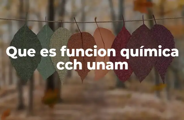 Que es Funcion Química Cch Unam