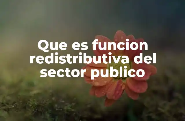Que es Funcion Redistributiva Del Sector Publico