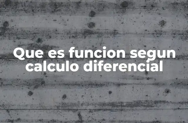 Que es Funcion Segun Calculo Diferencial