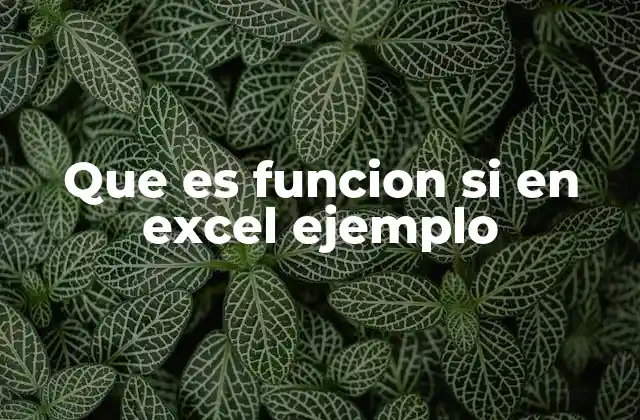 Cómo funciona la lógica condicional en Excel