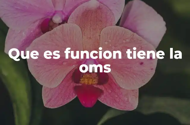 Que es Funcion Tiene la Oms