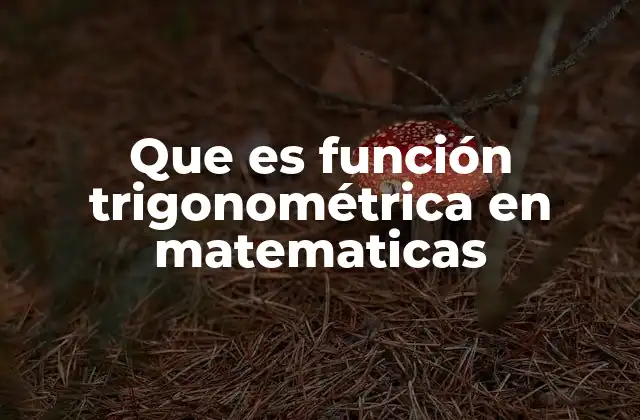 Que es Función Trigonométrica en Matematicas