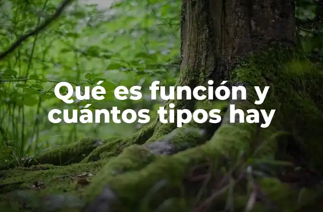 Qué es Función y Cuántos Tipos Hay 2 El origen y evolución del concepto de función