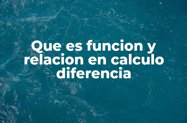 La base del cálculo diferencial: funciones y relaciones
