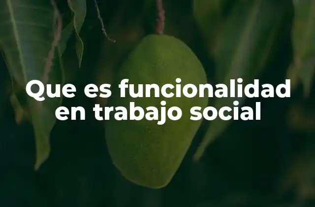 Que es Funcionalidad en Trabajo Social