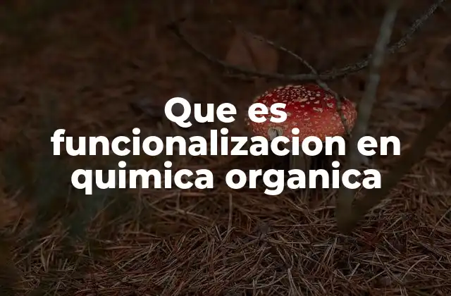 Que es Funcionalizacion en Quimica Organica