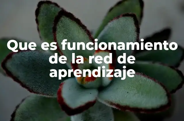 Que es Funcionamiento de la Red de Aprendizaje
