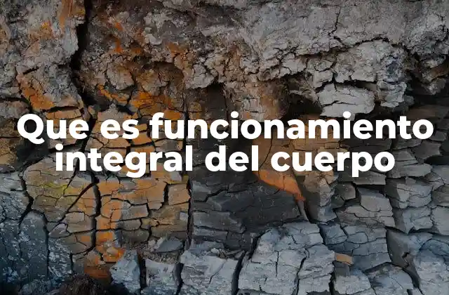 Que es Funcionamiento Integral Del Cuerpo