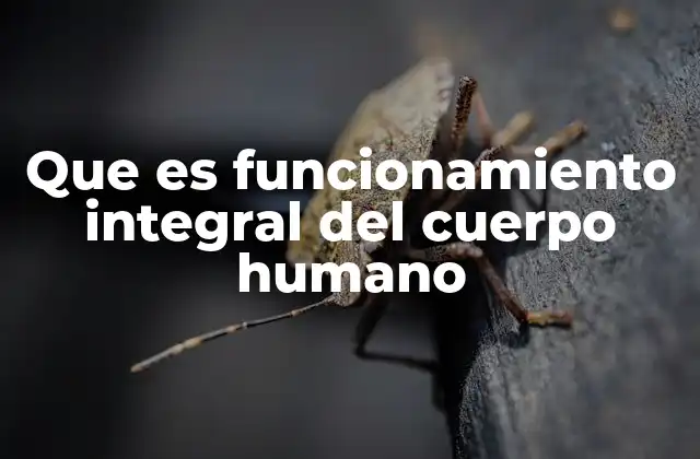 Que es Funcionamiento Integral Del Cuerpo Humano