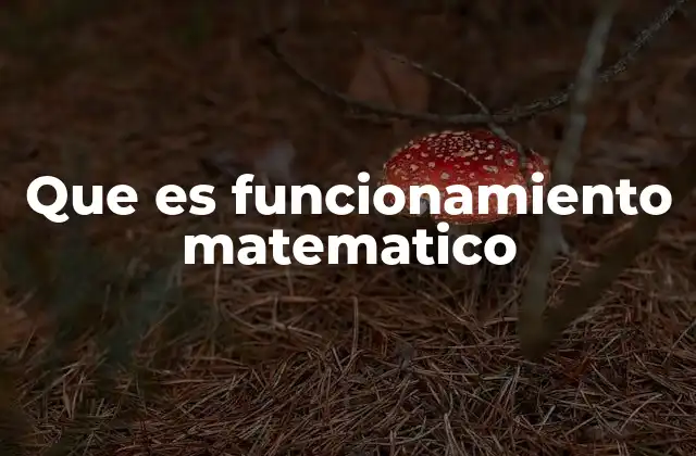 Que es Funcionamiento Matematico