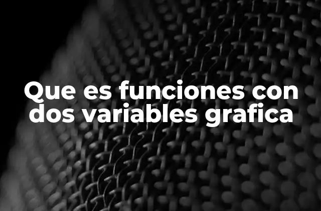 Que es Funciones con Dos Variables Grafica