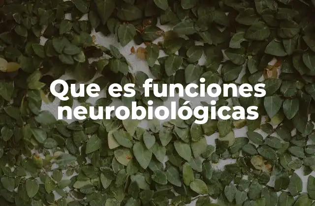 Que es Funciones Neurobiológicas