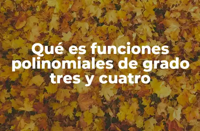 Qué es Funciones Polinomiales de Grado Tres y Cuatro