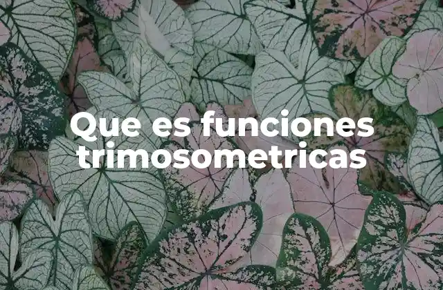 Que es Funciones Trimosometricas