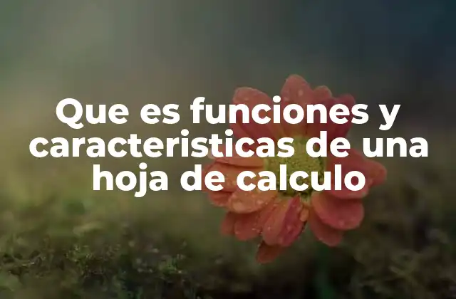 Cómo una hoja de cálculo transforma la gestión de datos