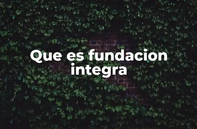 Que es Fundacion Integra