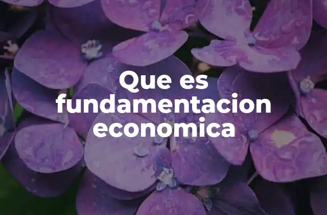 Que es Fundamentacion Economica