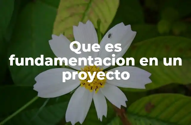 Que es Fundamentacion en un Proyecto