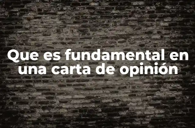 Que es Fundamental en una Carta de Opinión
