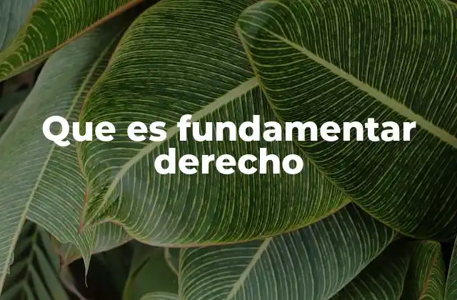 Que es Fundamentar Derecho