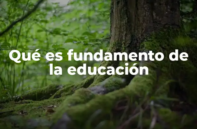 Qué es Fundamento de la Educación