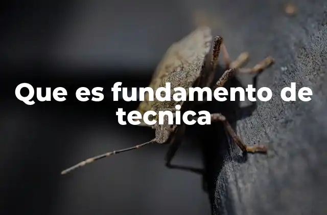 Que es Fundamento de Tecnica