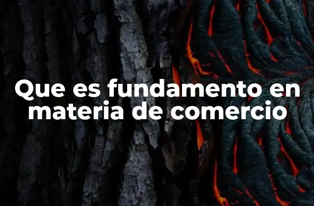Que es Fundamento en Materia de Comercio