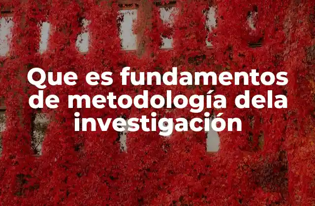 Que es Fundamentos de Metodología Dela Investigación