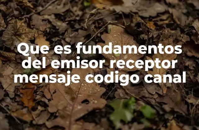 Que es Fundamentos Del Emisor Receptor Mensaje Codigo Canal