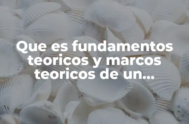 Que es Fundamentos Teoricos y Marcos Teoricos de un Proyecto de Fútbol