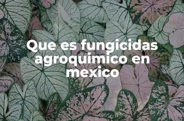 El papel de los fungicidas en la agricultura mexicana