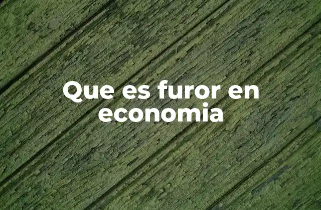 Que es Furor en Economia