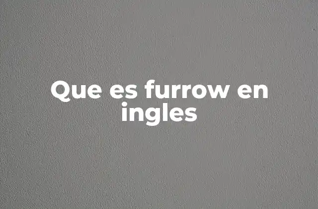 Que es Furrow en Ingles