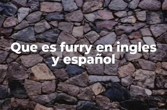 Que es Furry en Ingles y Español