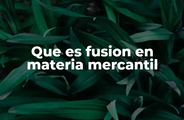 Que es Fusion en Materia Mercantil