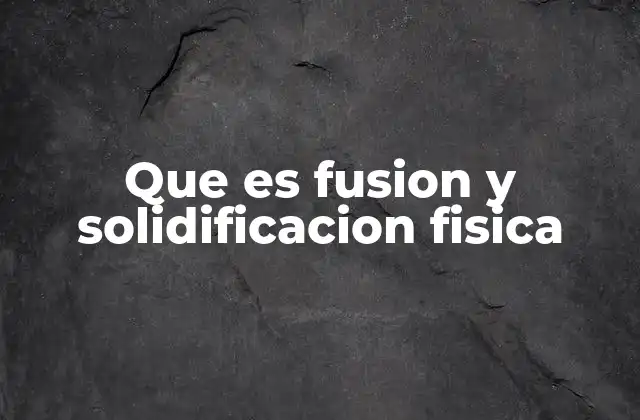 Que es Fusion y Solidificacion Fisica