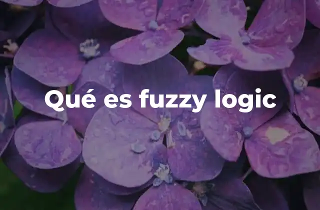 Qué es Fuzzy Logic