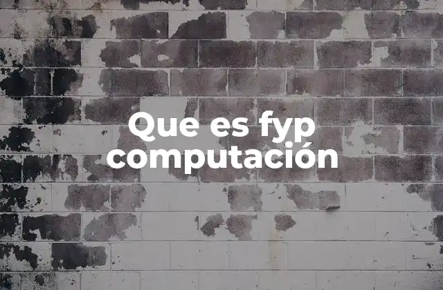 Que es Fyp Computación