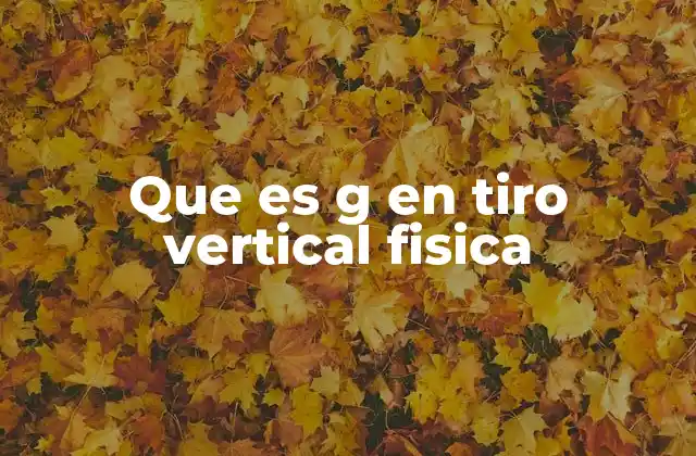 Que es G en Tiro Vertical Fisica