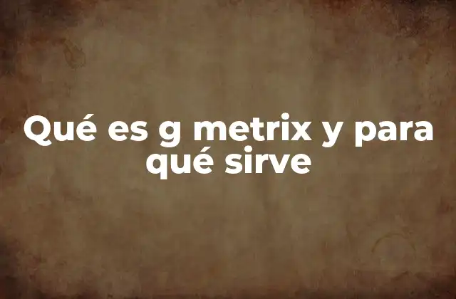 Qué es G Metrix y para Qué Sirve
