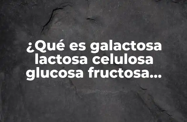 ¿qué es Galactosa Lactosa Celulosa Glucosa Fructosa Almidón Maltosa?